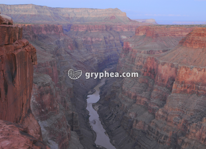 Grand Canyon du Colorado - Toroweap Point (Utah, USA) - gryphea.org